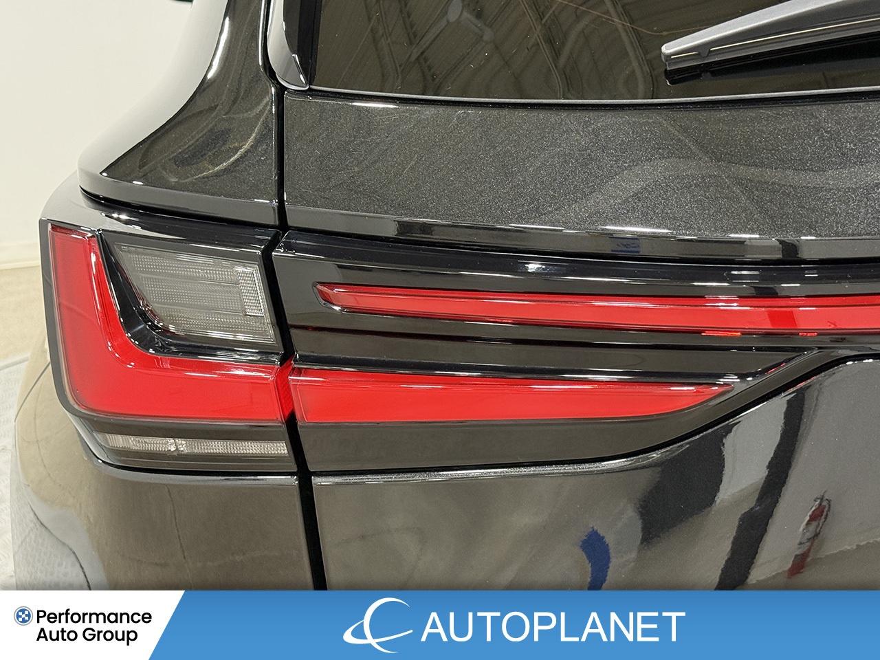 2024 Lexus NX 350 Premium AWD, Sunroof, Back Up Cam, Bluetooth! Photo
