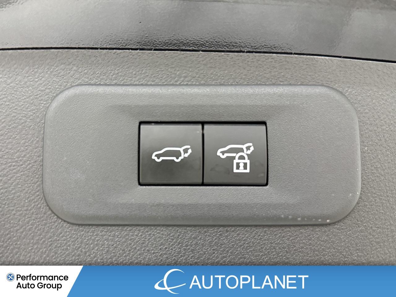 2024 Lexus NX 350 Premium AWD, Sunroof, Back Up Cam, Bluetooth! Photo
