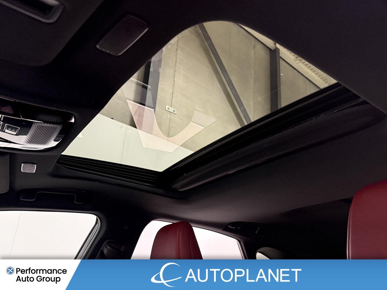 2024 Lexus NX 350 Premium AWD, Sunroof, Back Up Cam, Bluetooth! Photo