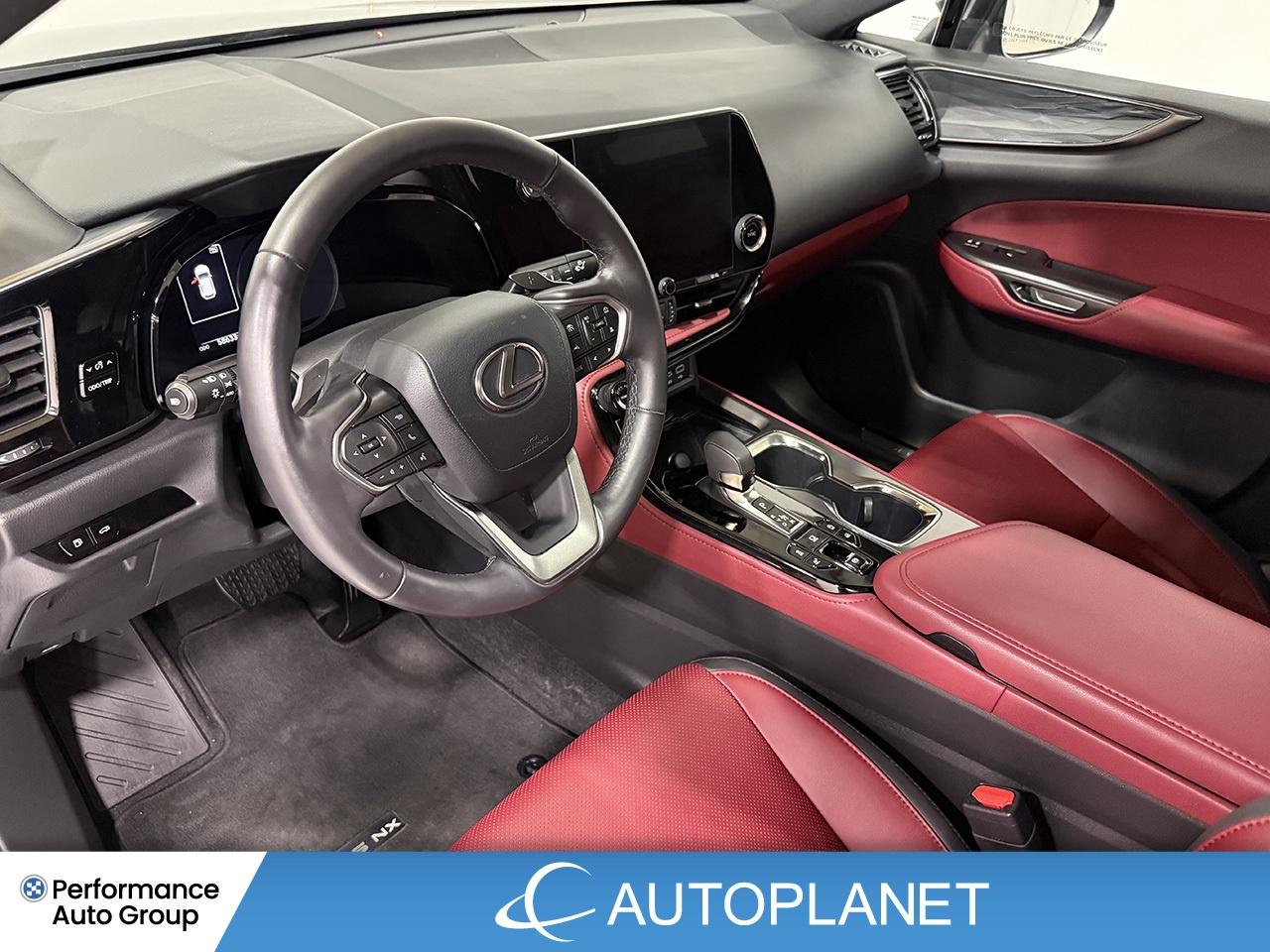 2024 Lexus NX 350 Premium AWD, Sunroof, Back Up Cam, Bluetooth! Photo