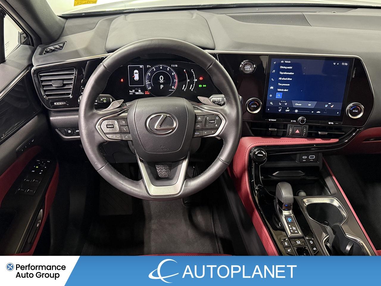 2024 Lexus NX 350 Premium AWD, Sunroof, Back Up Cam, Bluetooth! Photo