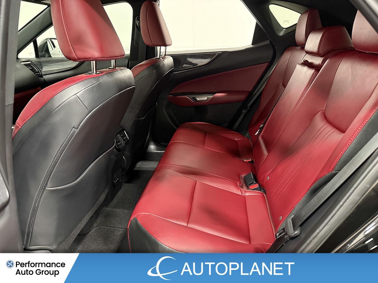 2024 Lexus NX 350 Premium AWD, Sunroof, Back Up Cam, Bluetooth! Photo