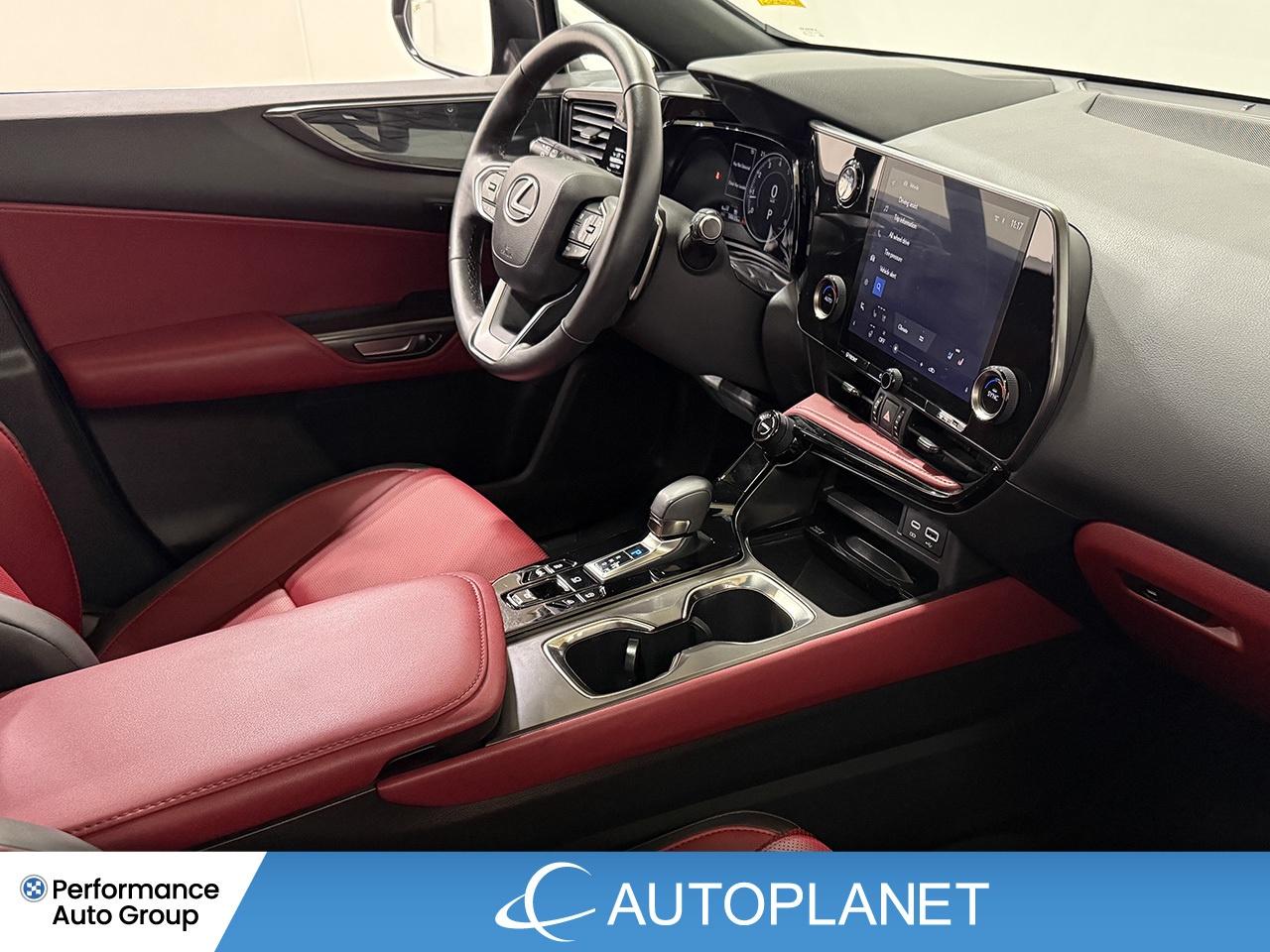 2024 Lexus NX 350 Premium AWD, Sunroof, Back Up Cam, Bluetooth! Photo