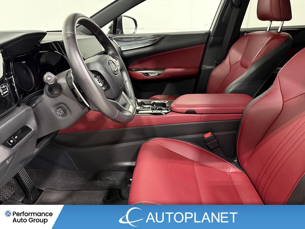 2024 Lexus NX 350 Premium AWD, Sunroof, Back Up Cam, Bluetooth! Photo