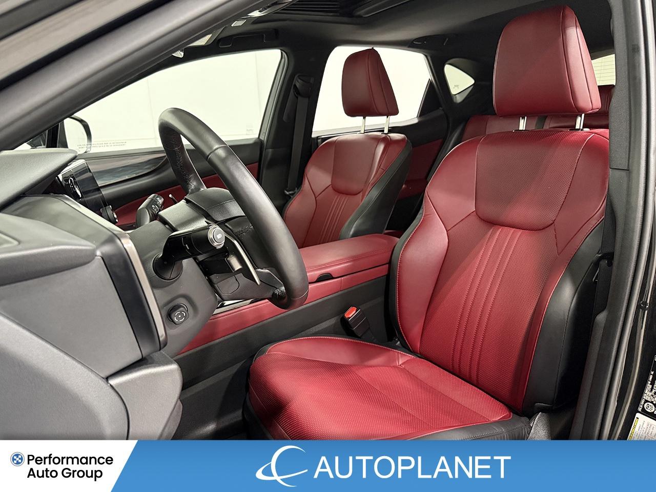 2024 Lexus NX 350 Premium AWD, Sunroof, Back Up Cam, Bluetooth! Photo