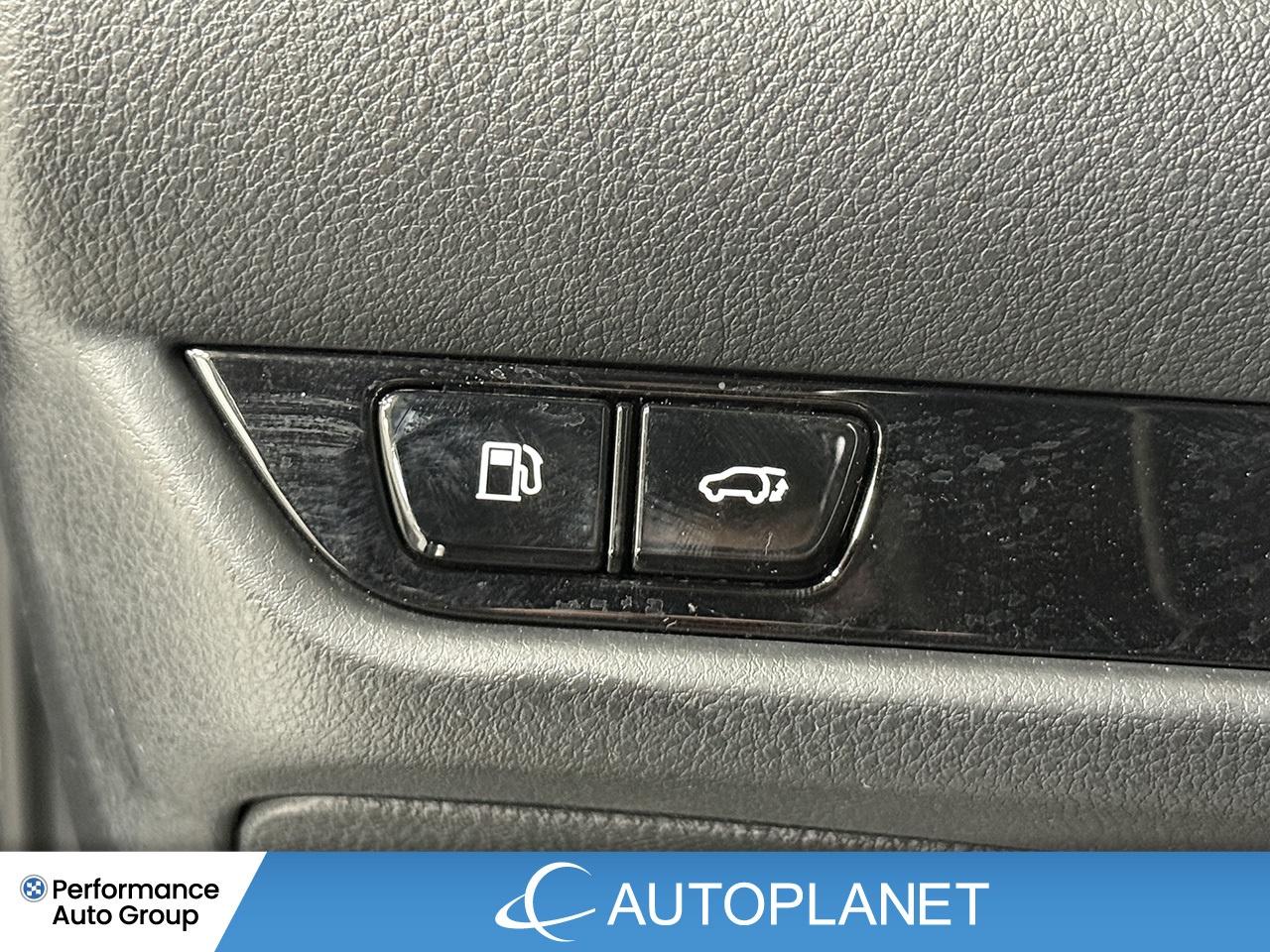 2024 Lexus NX 350 Premium AWD, Sunroof, Back Up Cam, Bluetooth! Photo