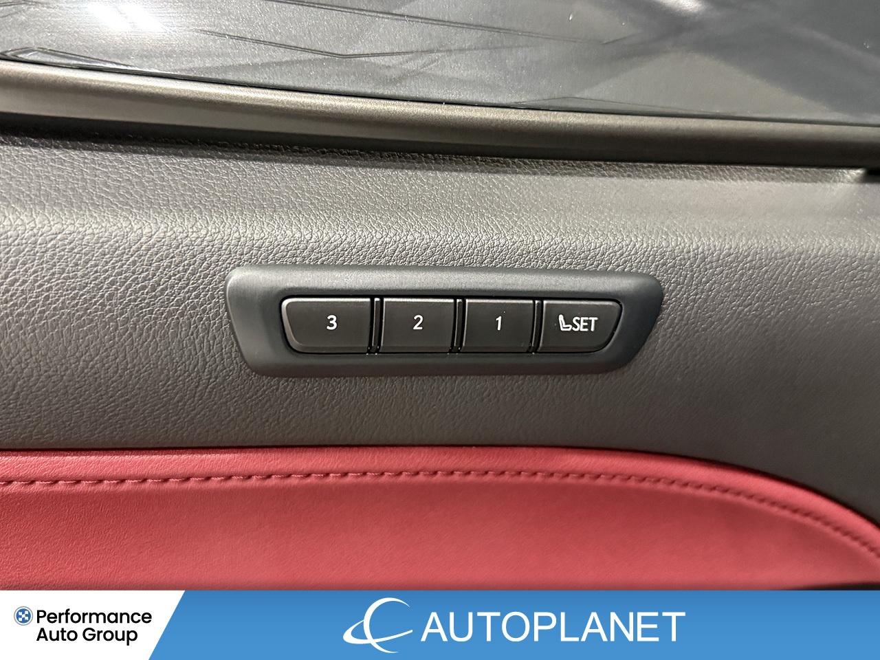 2024 Lexus NX 350 Premium AWD, Sunroof, Back Up Cam, Bluetooth! Photo