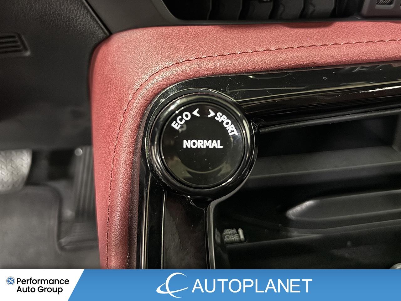 2024 Lexus NX 350 Premium AWD, Sunroof, Back Up Cam, Bluetooth! Photo