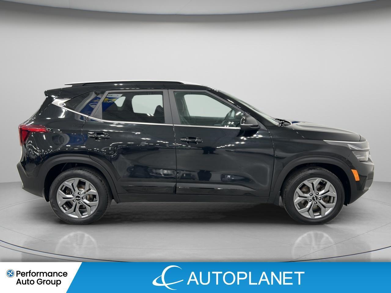 2024 Kia Seltos EX AWD, Sunroof, Apple CarPlay, Remote Start! Photo3