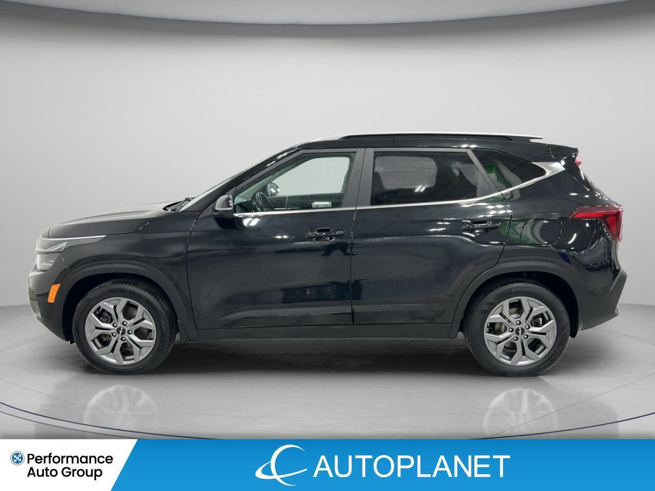 2024 Kia Seltos EX AWD, Sunroof, Apple CarPlay, Remote Start! Photo