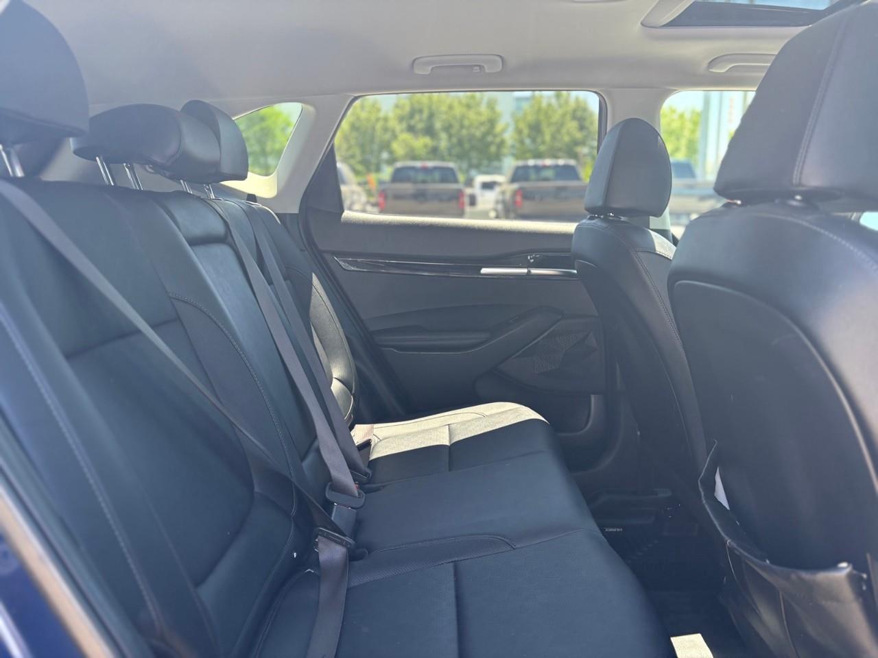 2023 Kia Seltos EX 4dr All-Wheel Drive Photo