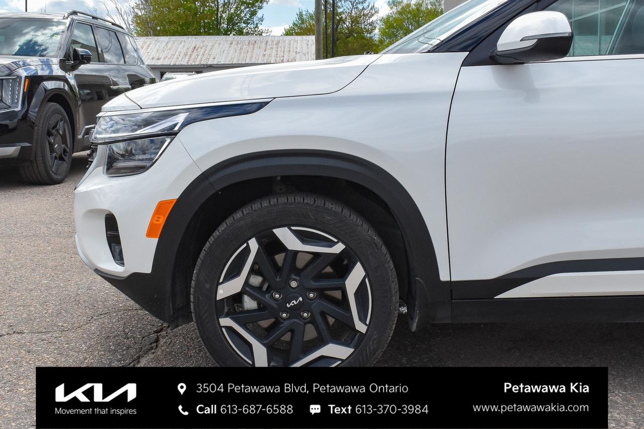 2025 Kia Seltos  Photo