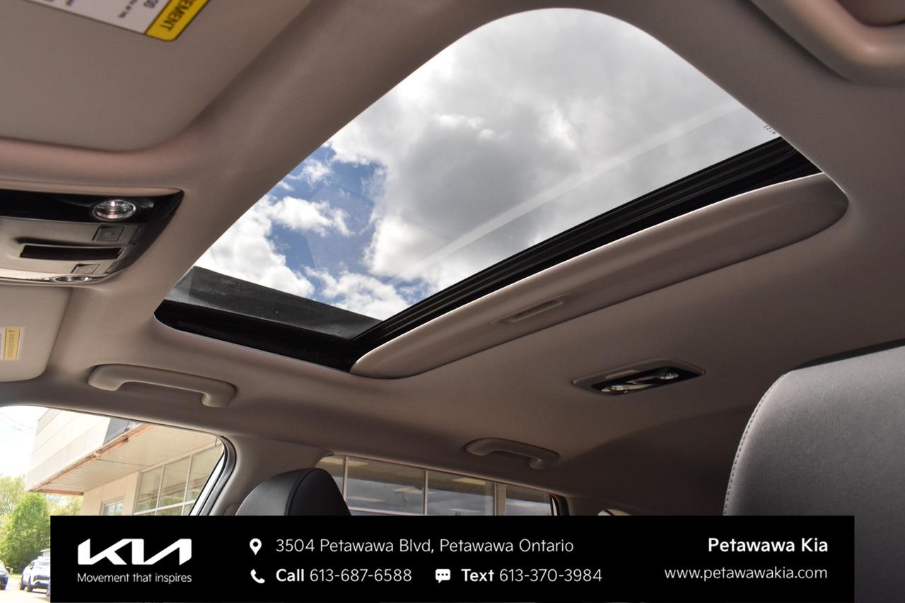 2025 Kia Seltos  Photo