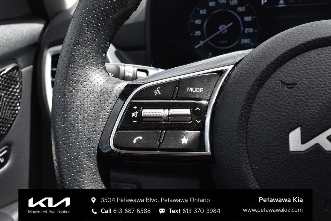 2025 Kia Seltos  Photo