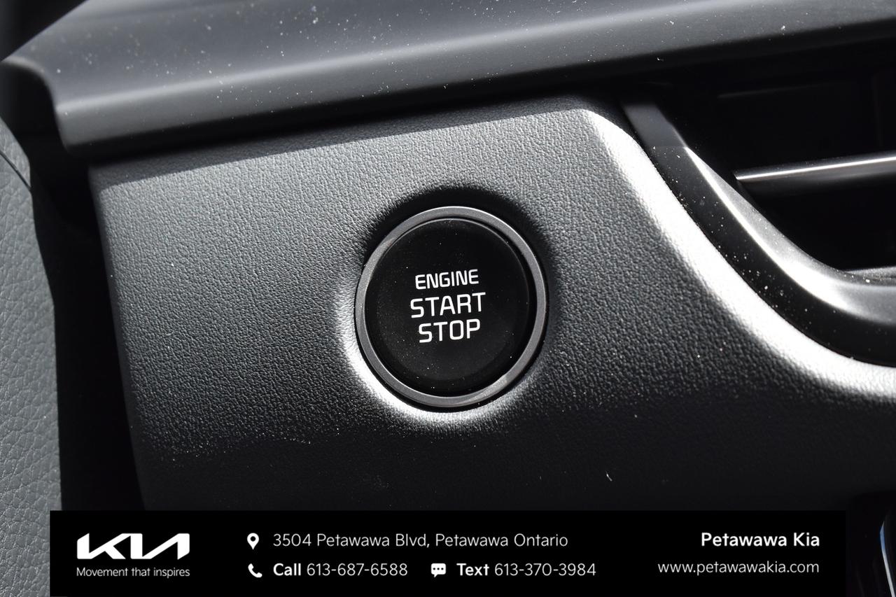 2025 Kia Seltos  Photo