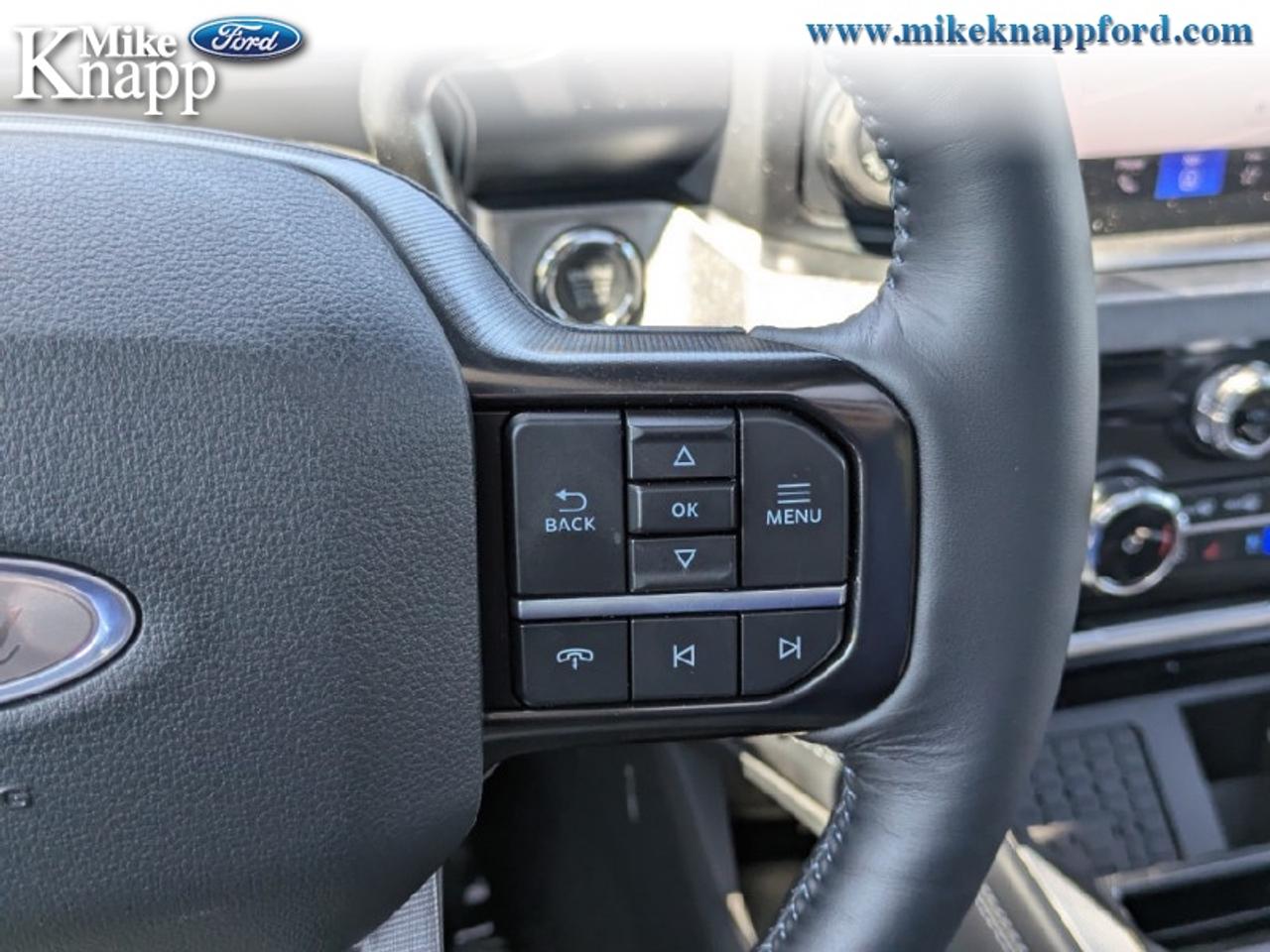 2026 Ford F-250 SUPER DUTY Platinum Photo