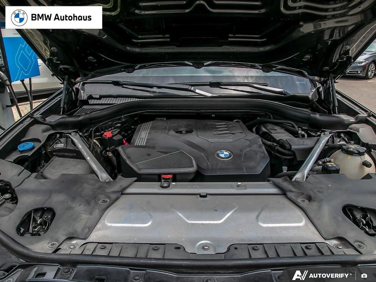 2022 BMW X3 xDrive30i Sports Activity Vehicle Photo