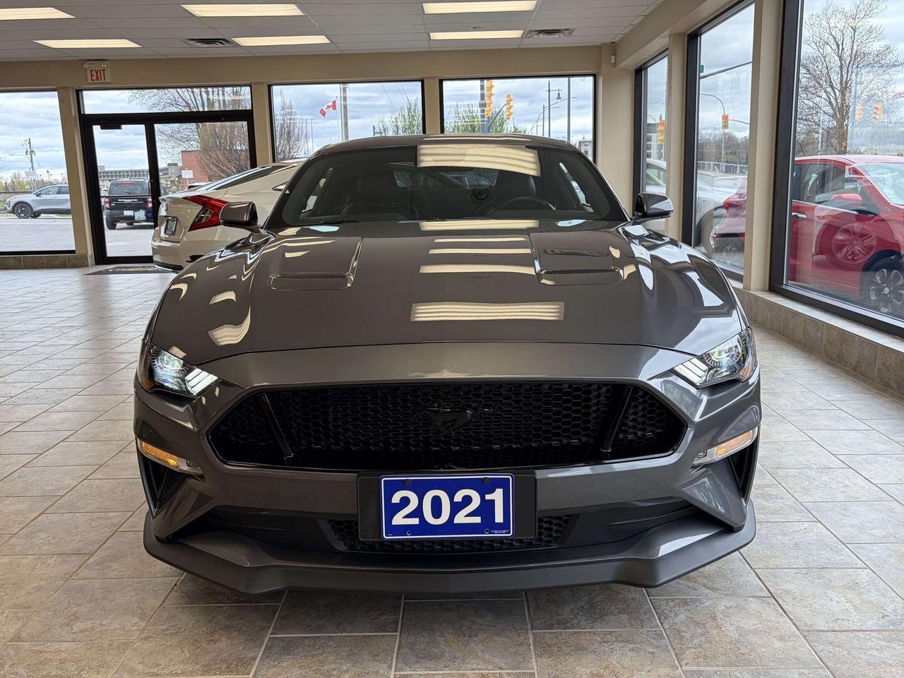 2021 Ford Mustang GT Premium HEATED/COOLED SEATS/NAV CALL BELLEVILLE Photo