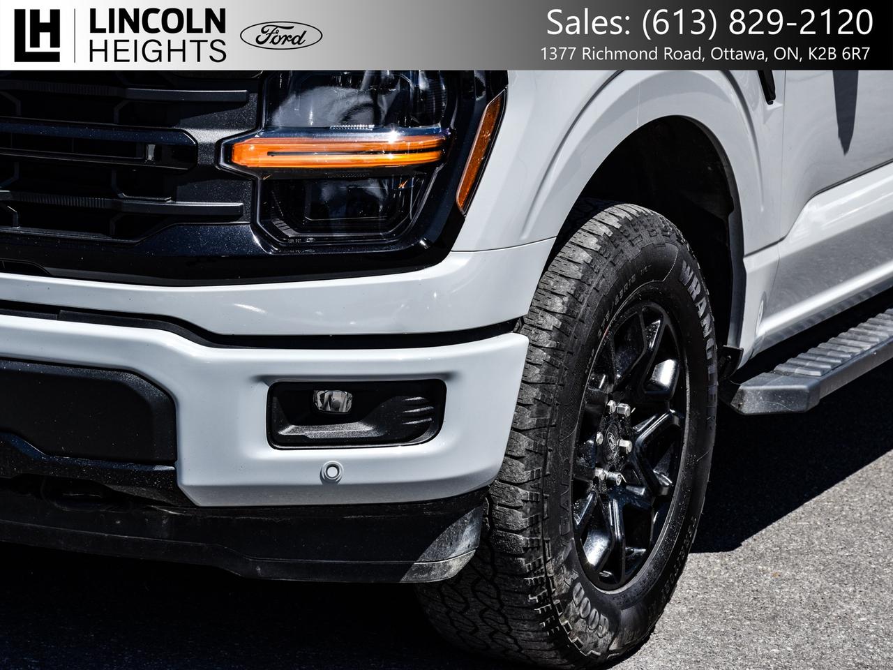 2024 Ford F-150  Photo