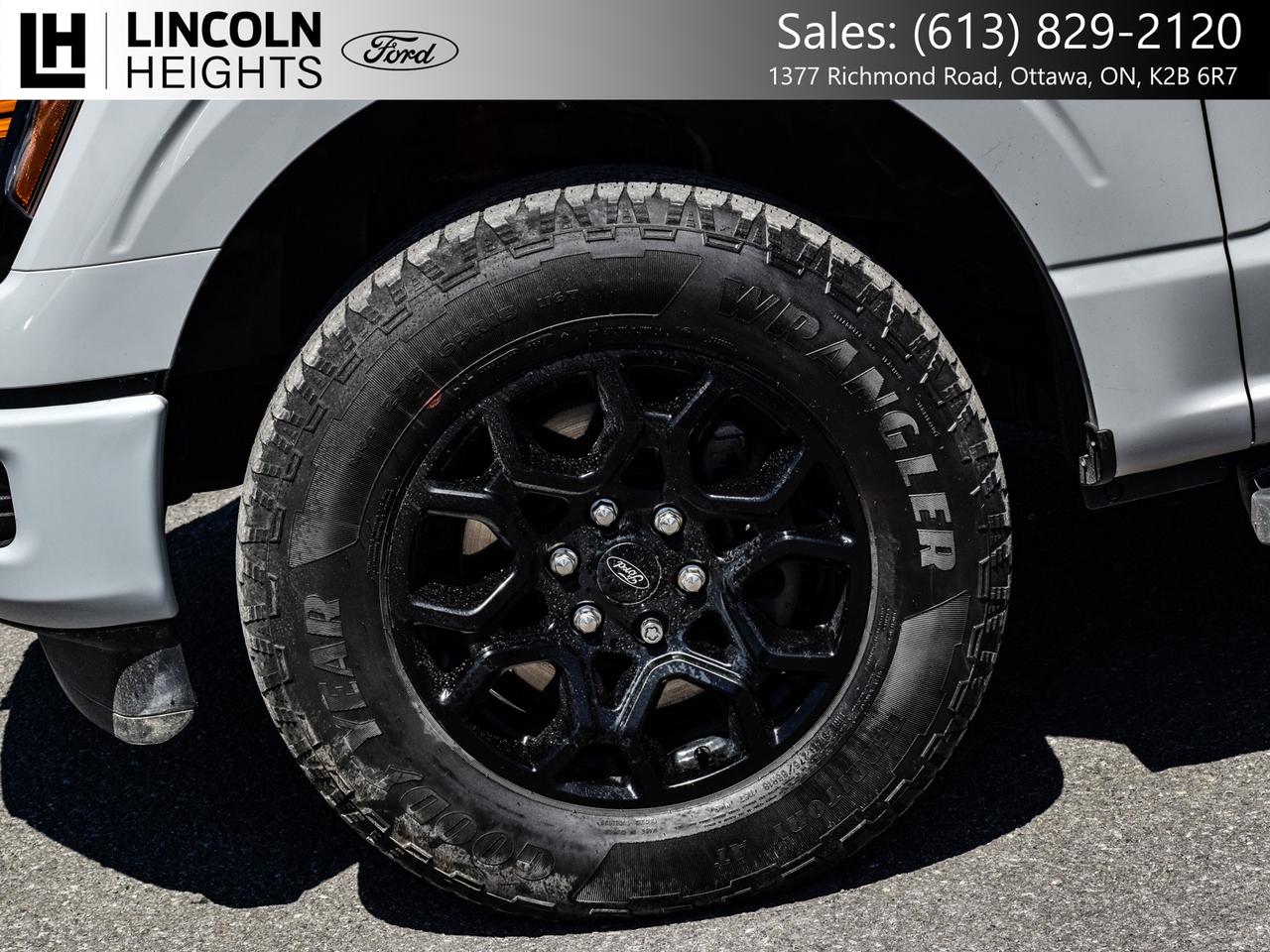 2024 Ford F-150  Photo