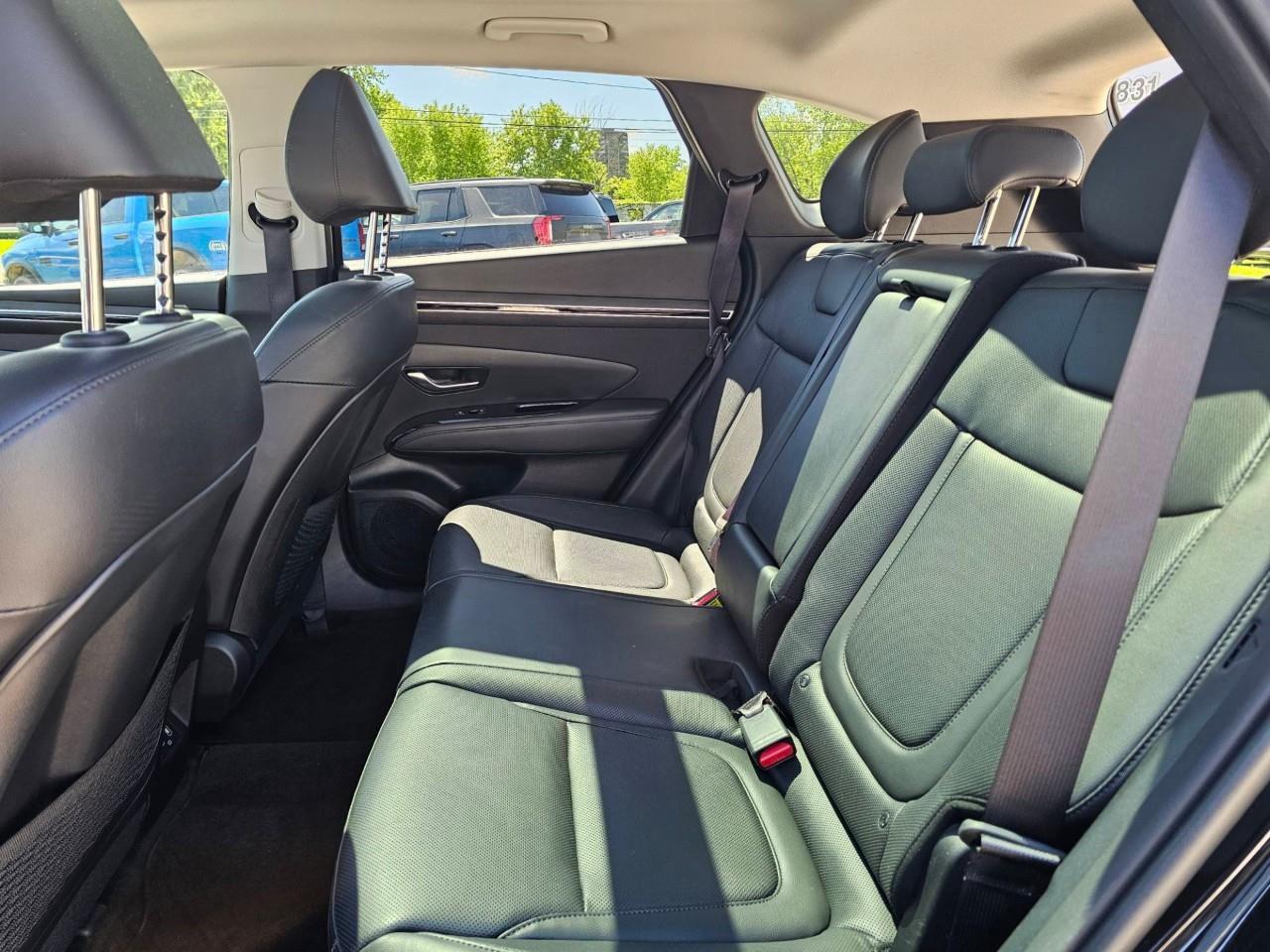 2024 Hyundai Tucson Plug-In Hybrid Ultimate 4dr All-Wheel Drive Photo