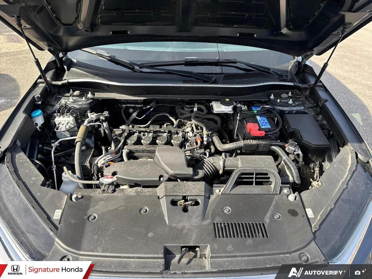 2023 Honda CR-V LX Photo
