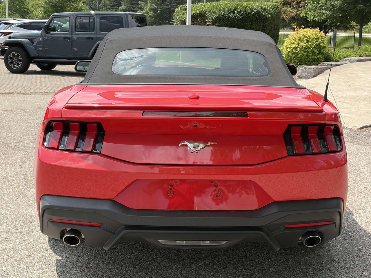2025 Ford Mustang Convertible EcoBoost Premium   Heated/Cooled Seats Photo