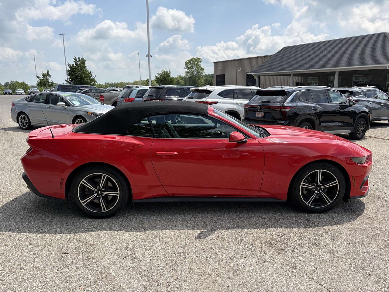 2025 Ford Mustang Convertible EcoBoost Premium   Heated/Cooled Seats Photo