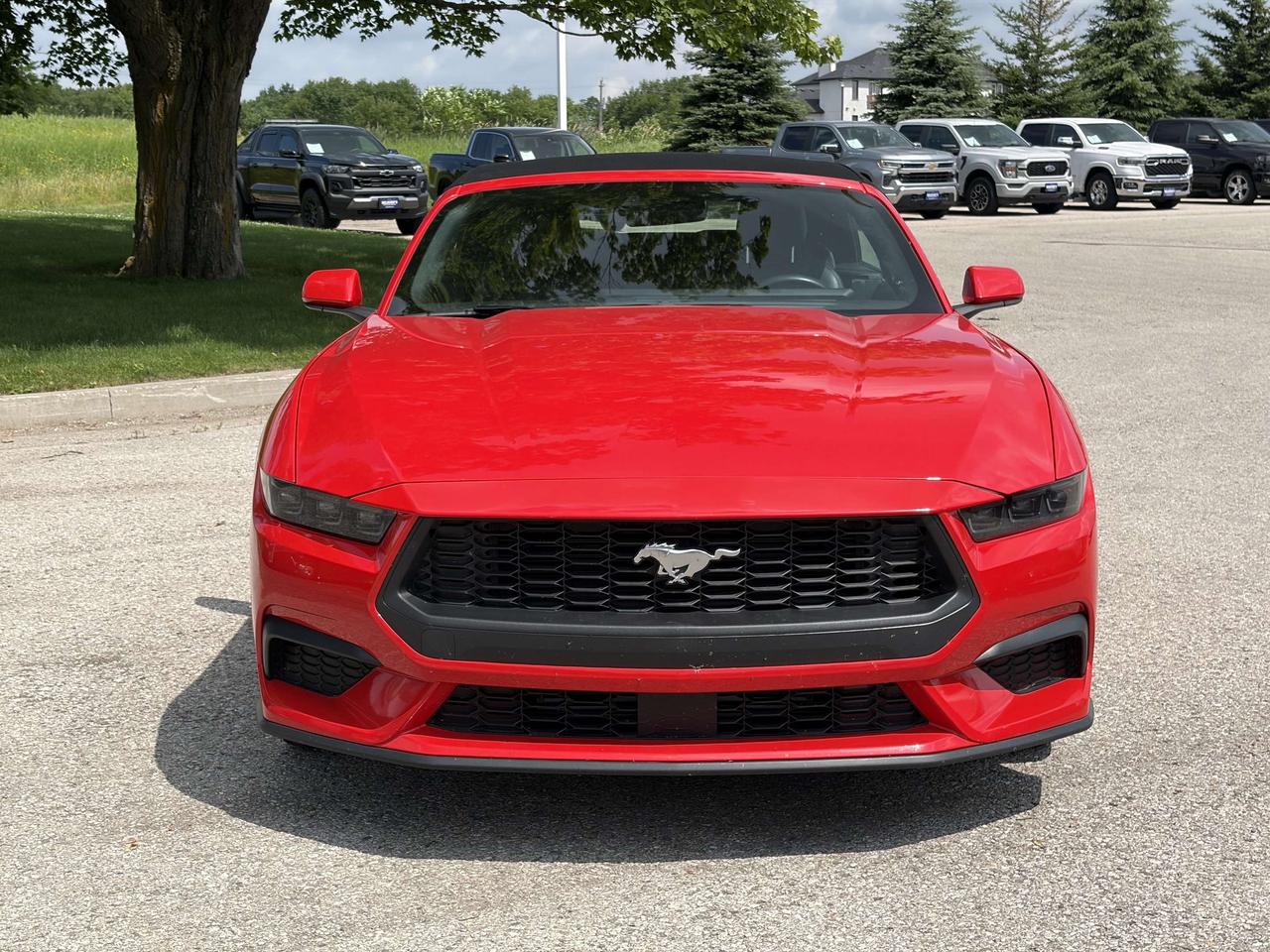 2025 Ford Mustang Convertible EcoBoost Premium   Heated/Cooled Seats Photo