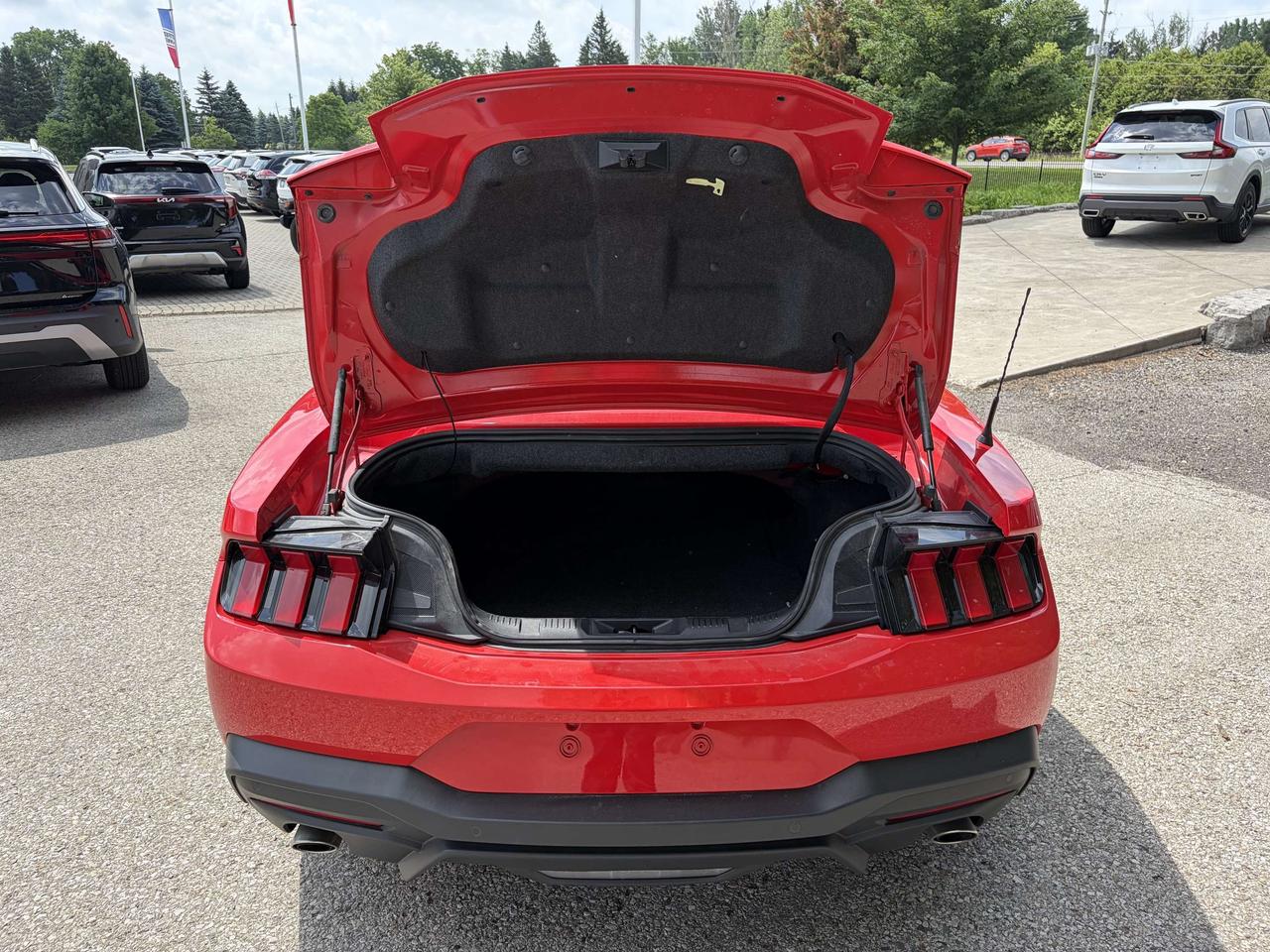 2025 Ford Mustang Convertible EcoBoost Premium   Heated/Cooled Seats Photo