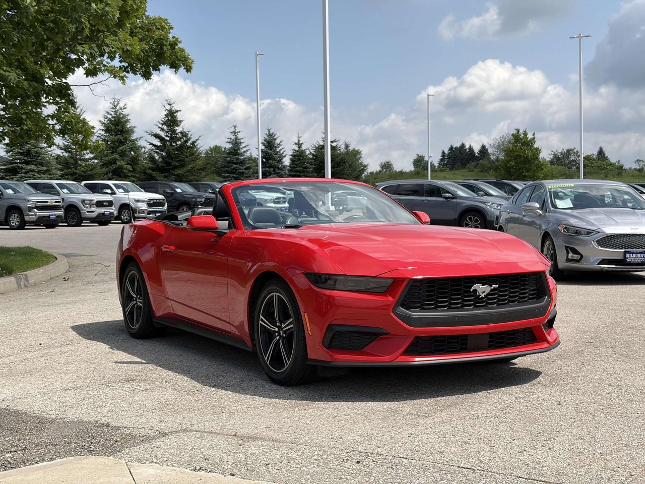2025 Ford Mustang Convertible EcoBoost Premium   Heated/Cooled Seats Photo