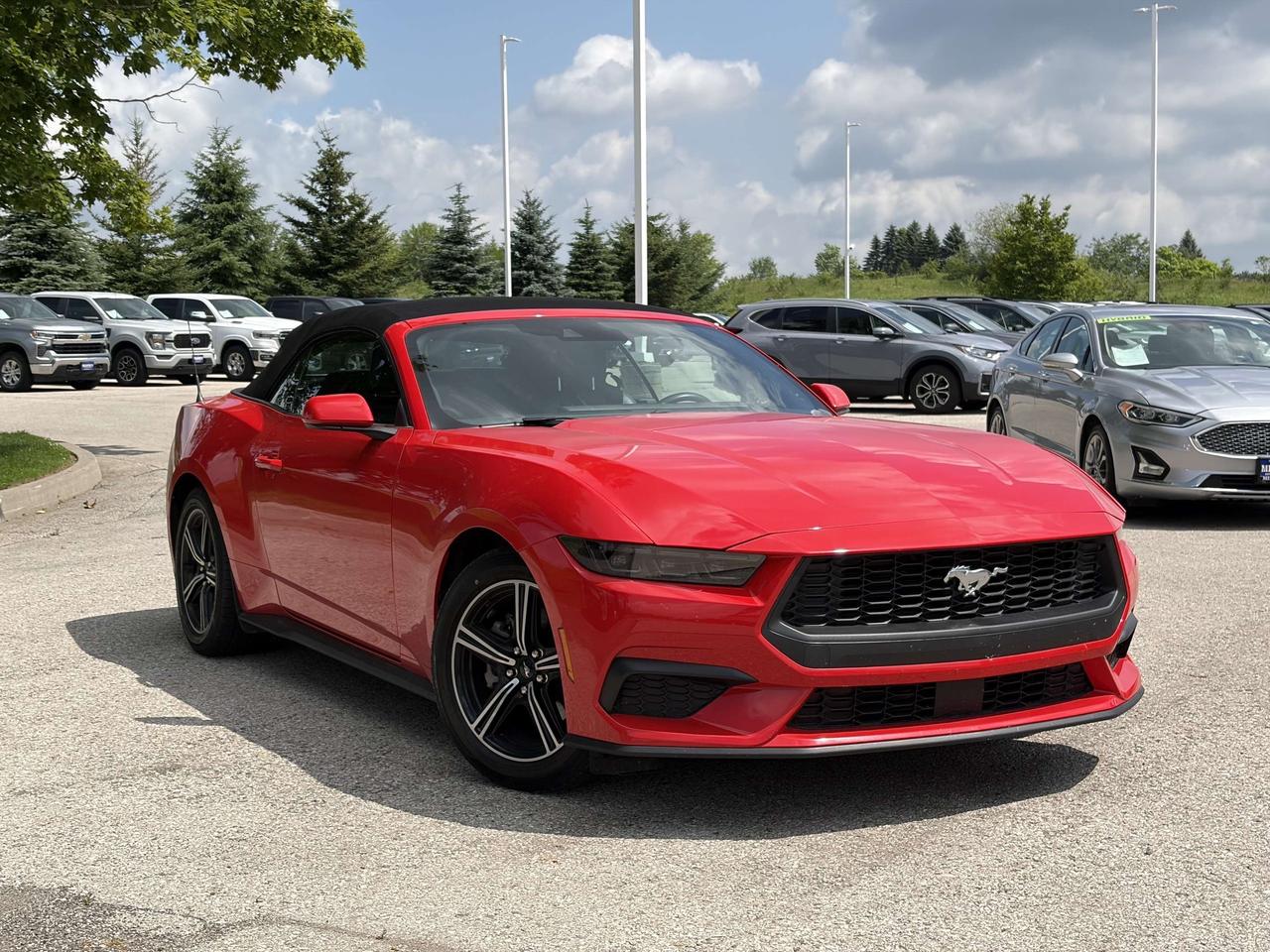 2025 Ford Mustang Convertible EcoBoost Premium   Heated/Cooled Seats Photo0