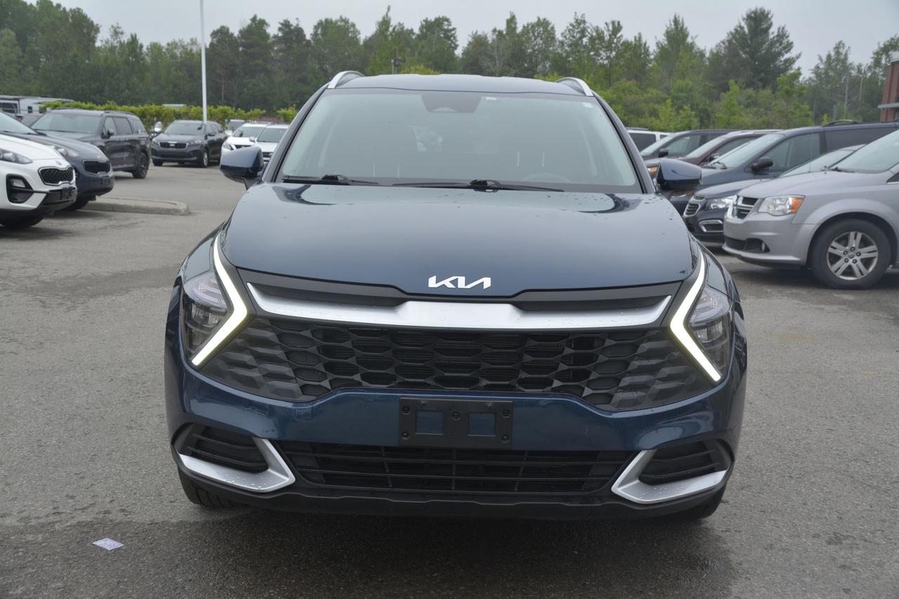 2024 Kia Sportage LX Photo