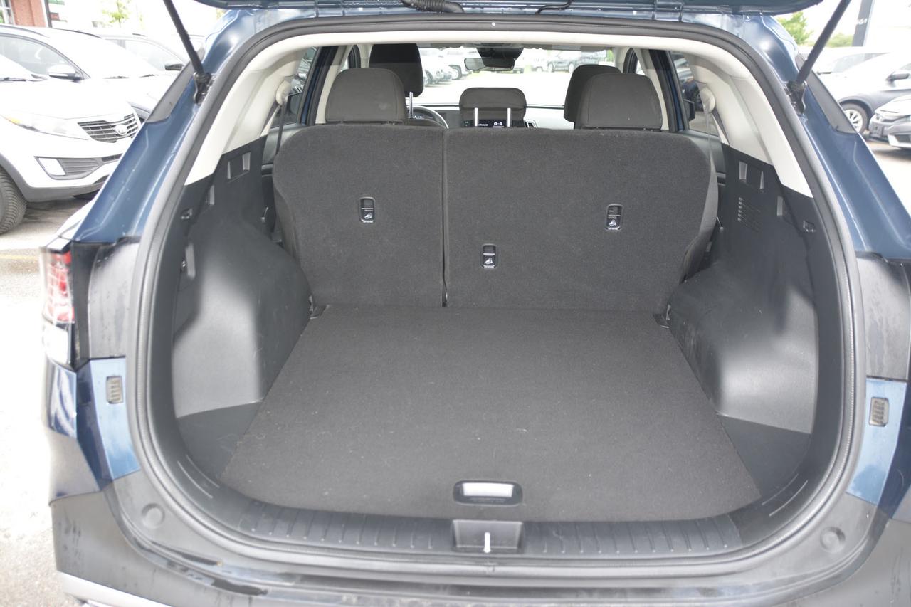 2024 Kia Sportage LX Photo