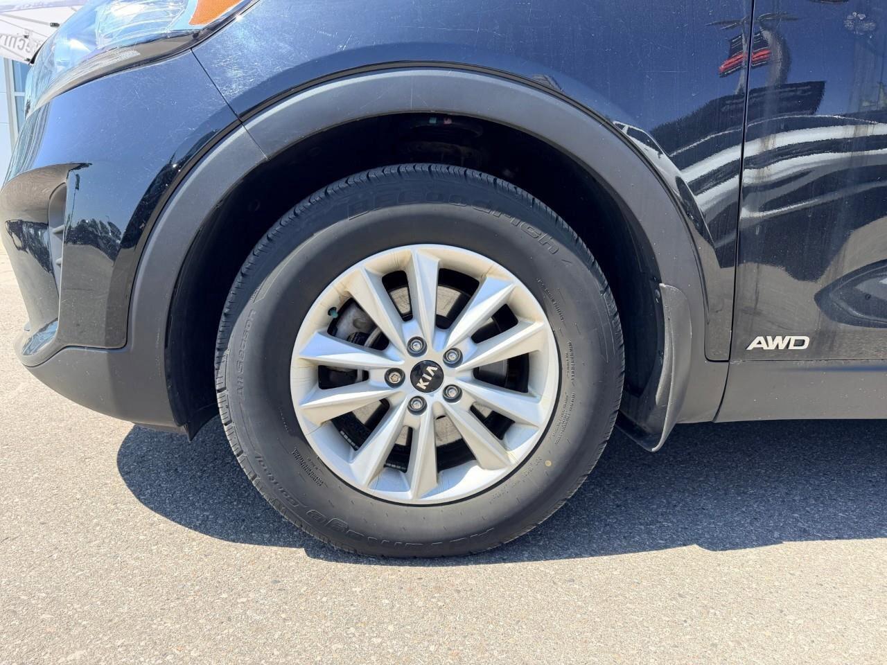 2019 Kia Sorento  Photo