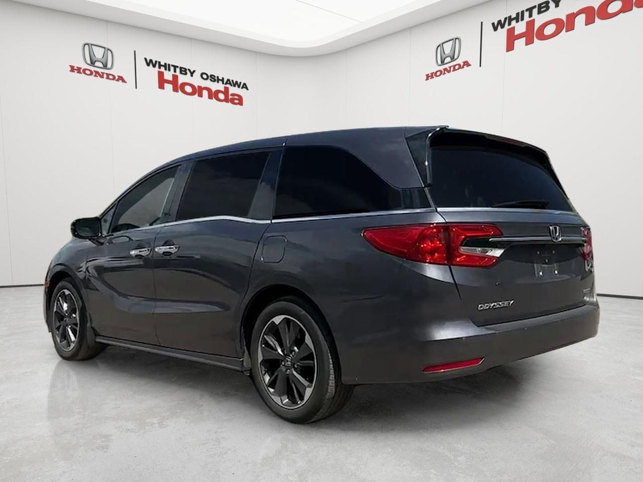 2023 Honda Odyssey Touring Auto Photo