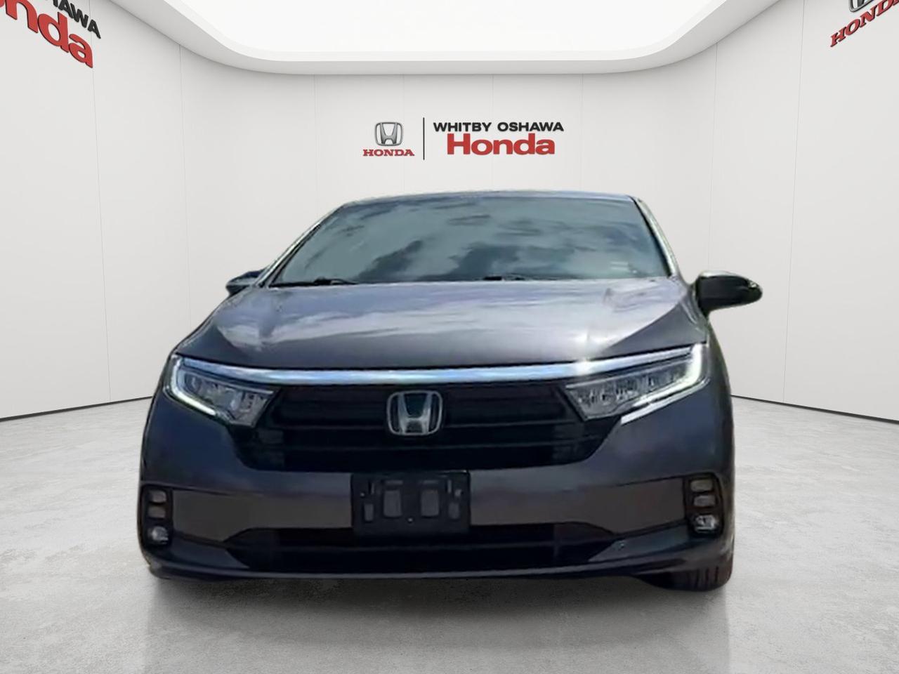 2023 Honda Odyssey Touring Auto Photo