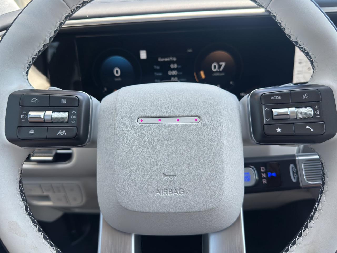 2026 Hyundai PALISADE Ultimate Calligraphy Photo