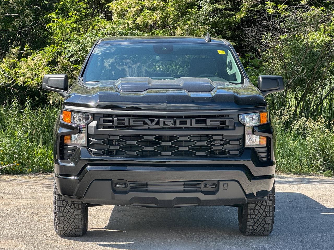 2026 Chevrolet Silverado 1500 Custom Trail Boss Photo