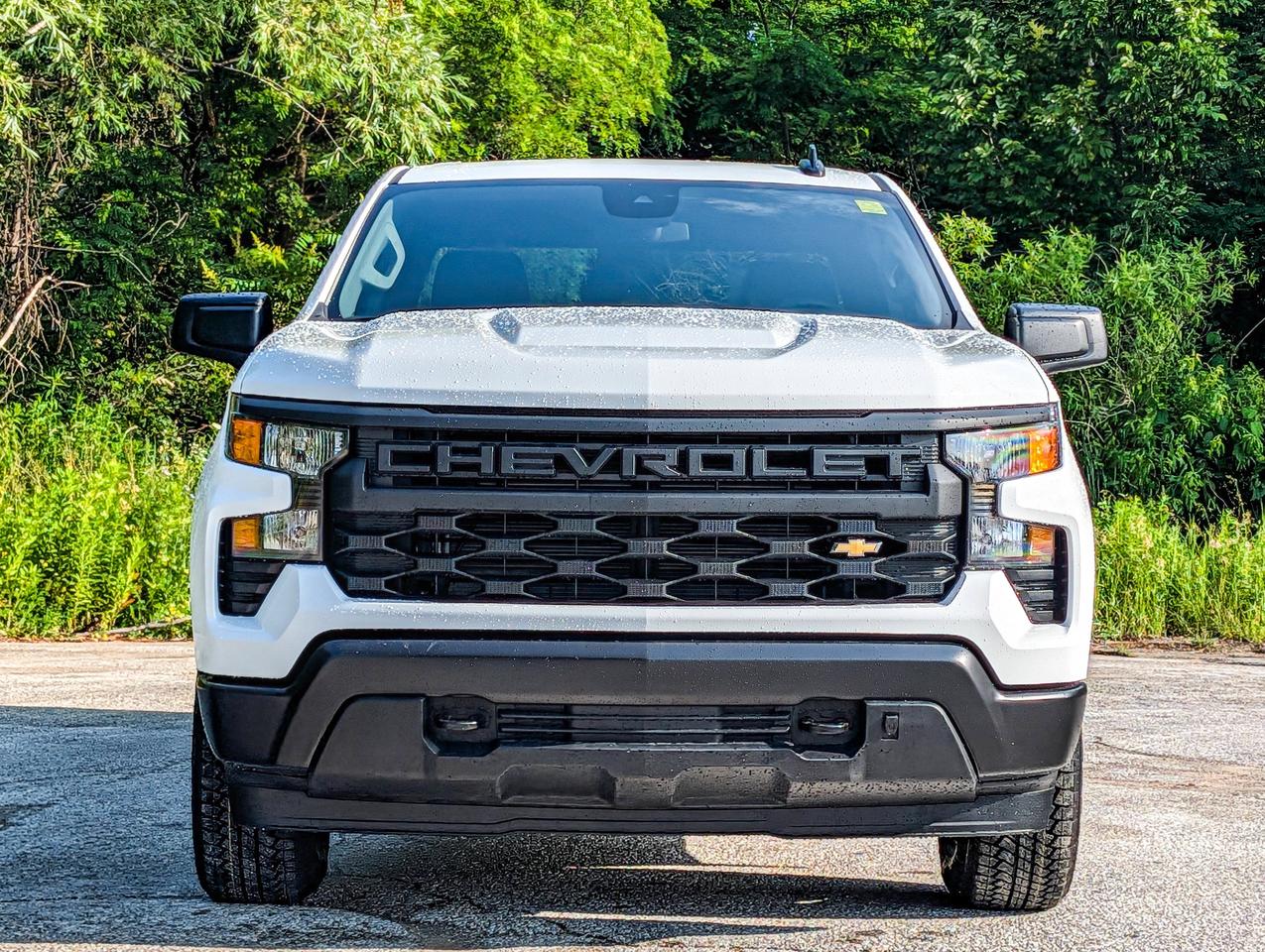 2026 Chevrolet Silverado 1500 Work Truck Photo3