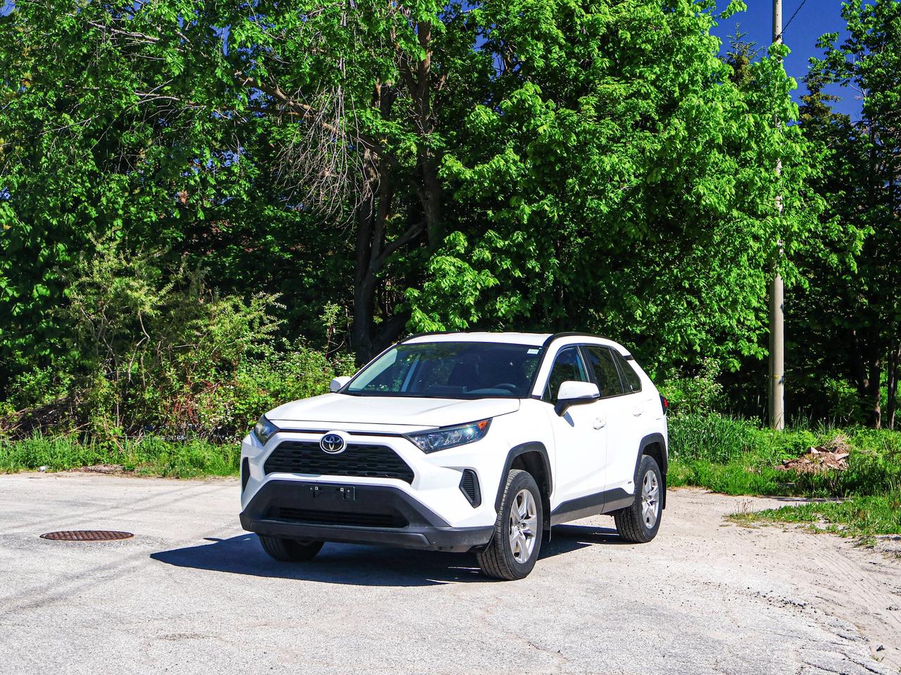 2025 Toyota RAV4 Hybrid LE Photo