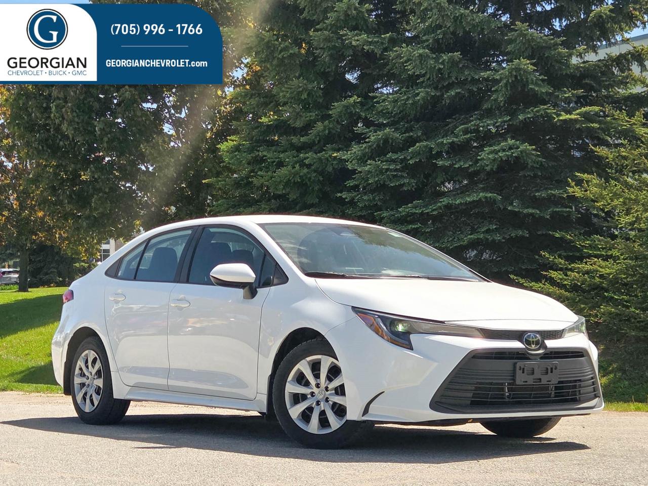 2024 Toyota Corolla LE Photo