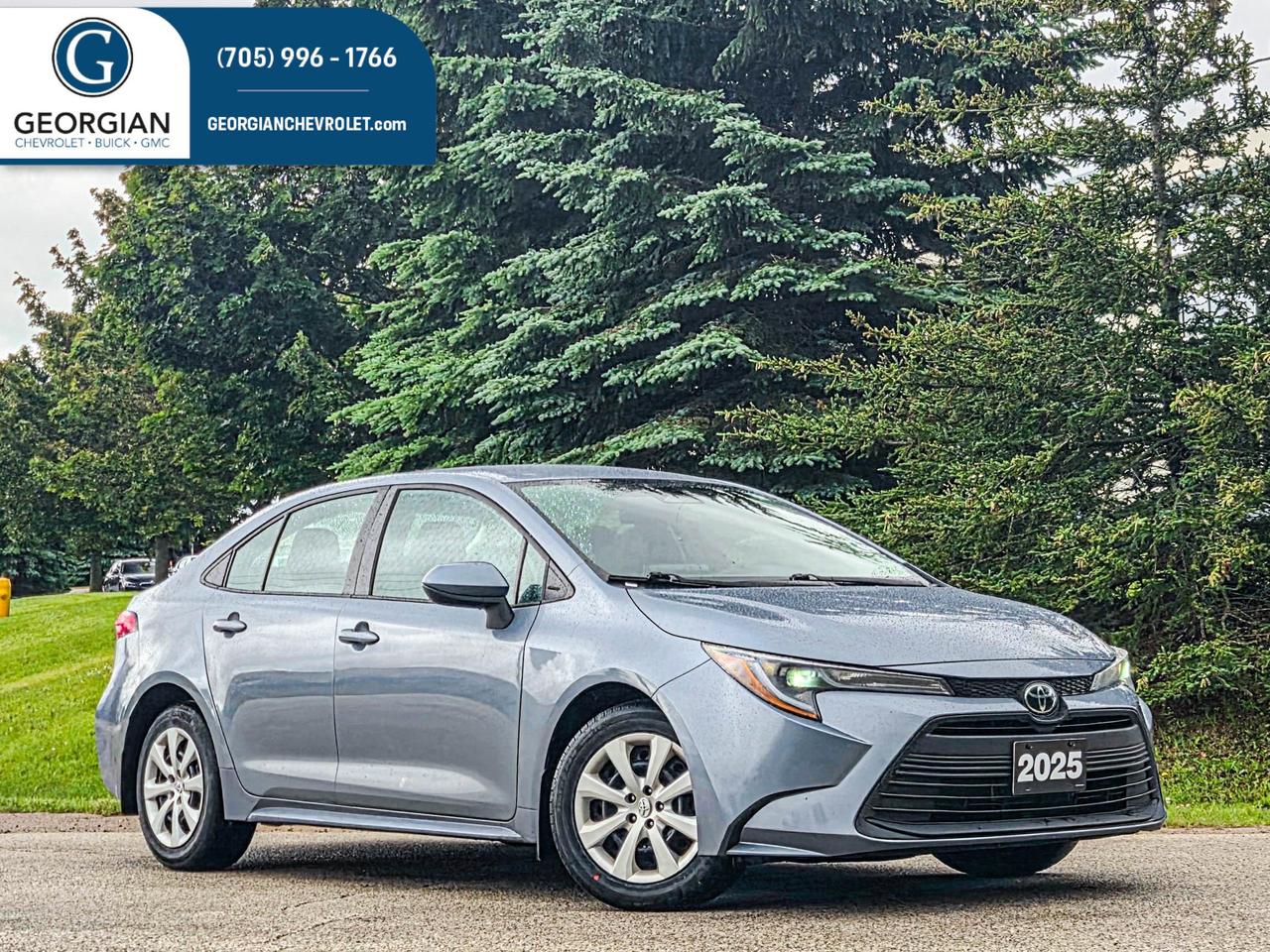 2025 Toyota Corolla LE Photo