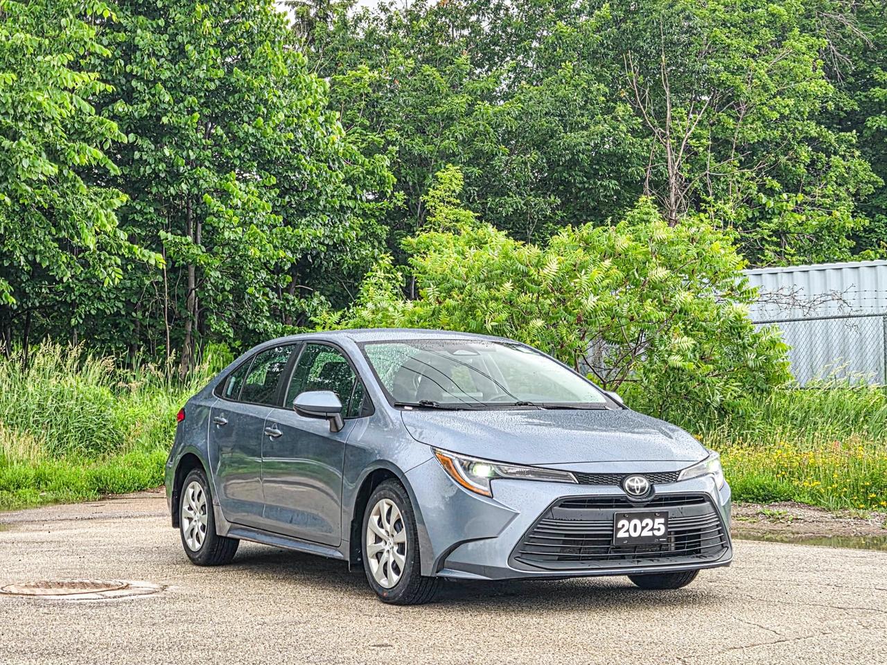 2025 Toyota Corolla LE Photo
