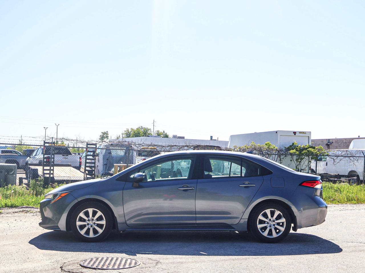2025 Toyota Corolla LE Photo