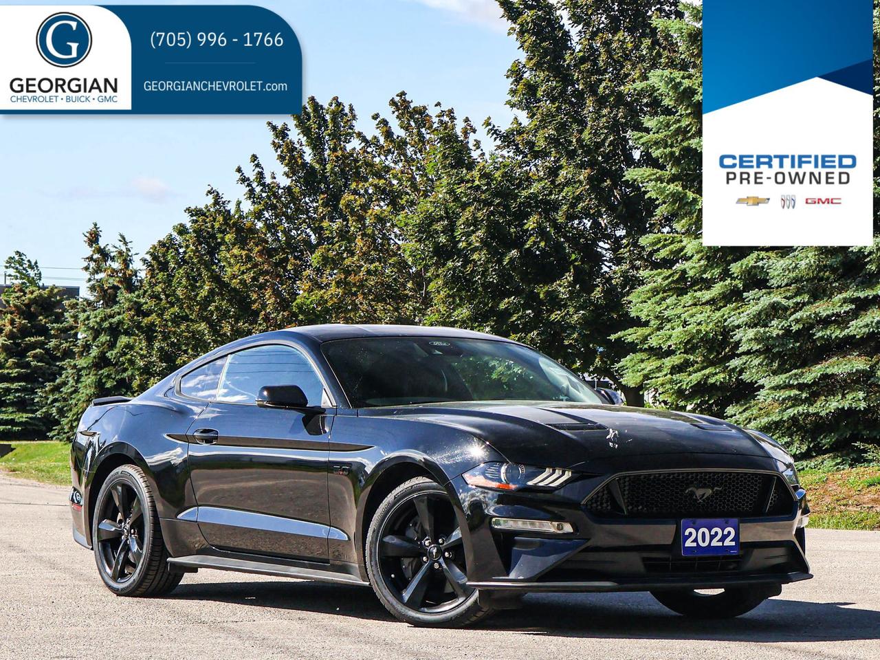2022 Ford Mustang GT Photo0
