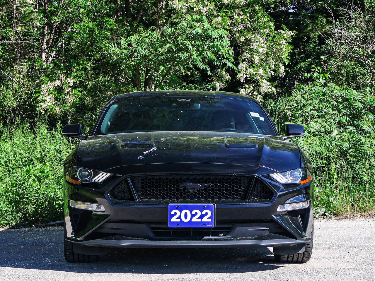 2022 Ford Mustang GT Photo