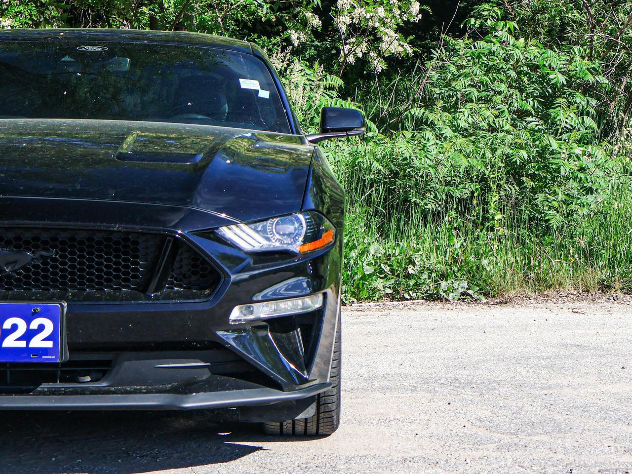 2022 Ford Mustang GT Photo
