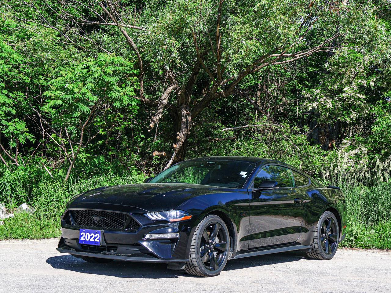 2022 Ford Mustang GT Photo