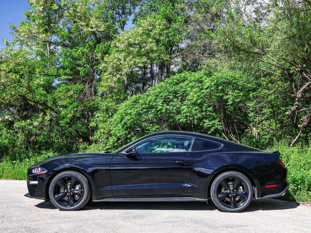 2022 Ford Mustang GT Photo